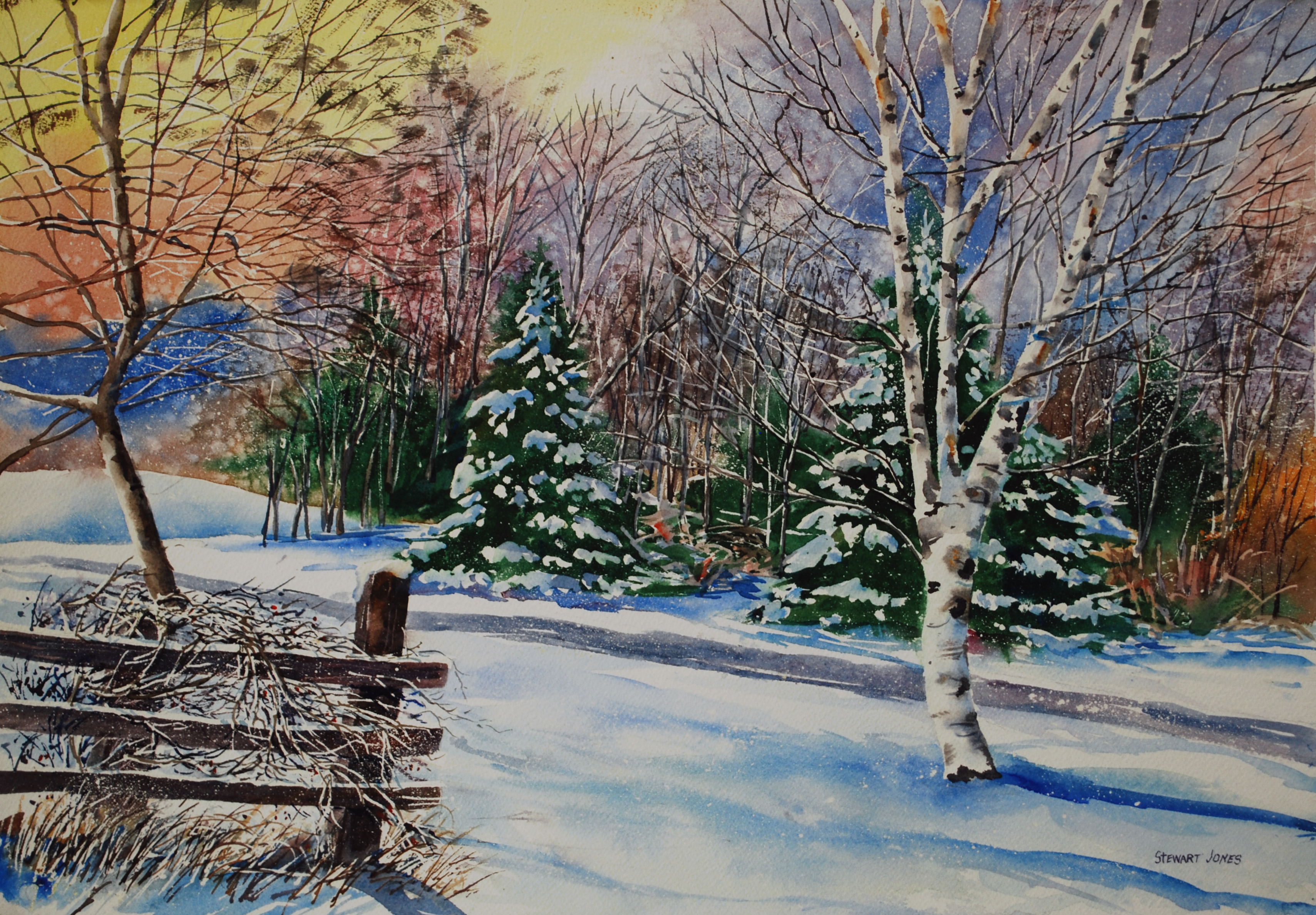Winter Wonderland by Stewart Jones